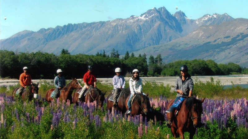 Ex Queenstown or GlenorchyA new product for the summer-season!  This is a full day adventure, with up to six hours horse riding that will take you across braded rivers, past lakes, and under massive cliff faces as we scale the west side of Mount Alfred.  The view is the 'Best in the South' by horseback!!